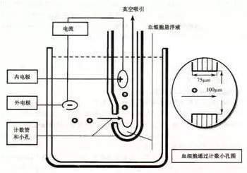 【兆恒機械】血液分析儀的檢測原理及臨床應用